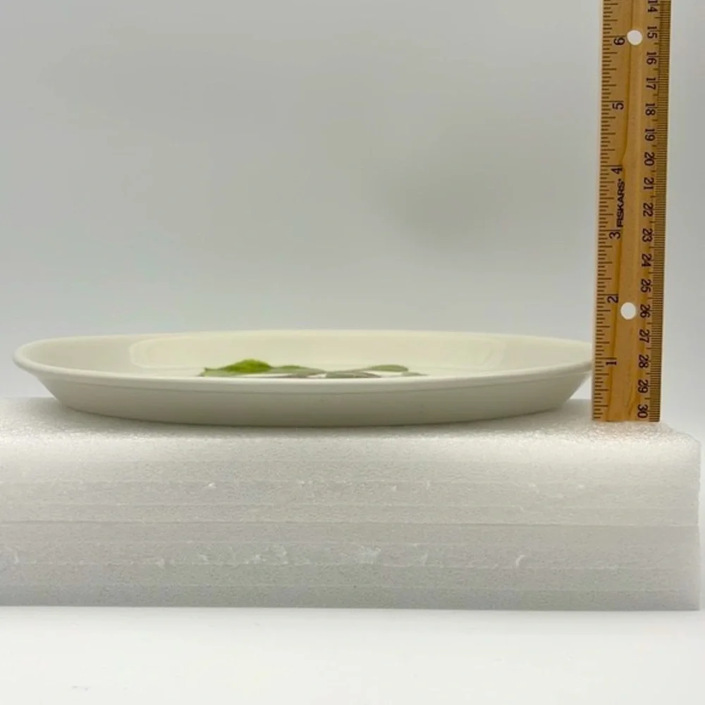 Vintage Pomona by Portmeirion 10 3/4 Inch Ceramic Oval Steak Platter